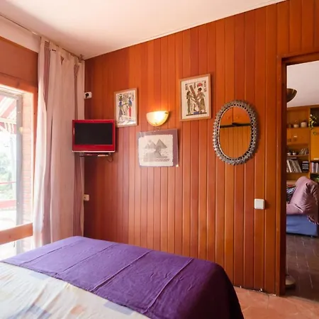 Villa Club Villamar - Palmeras