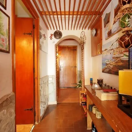 Club Villamar - Palmeras Villa