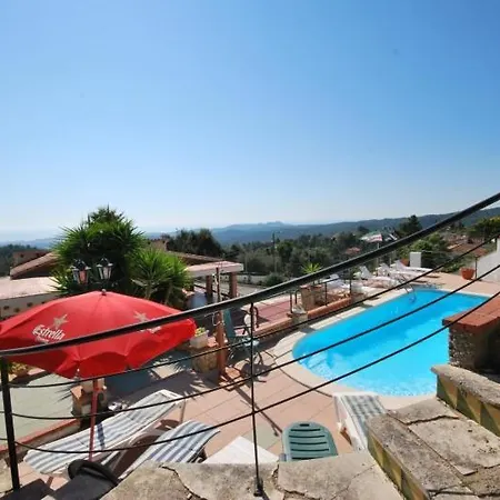 Club Villamar - Palmeras